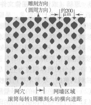 昆明彩印厂凹版印刷网穴形态图