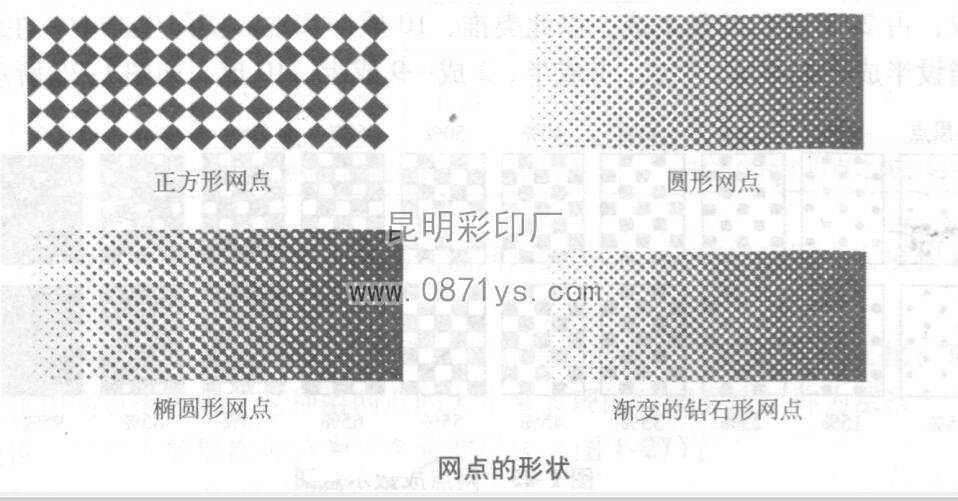 网点的形状