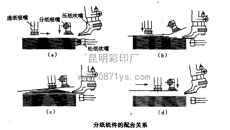 分纸机件的配合关系